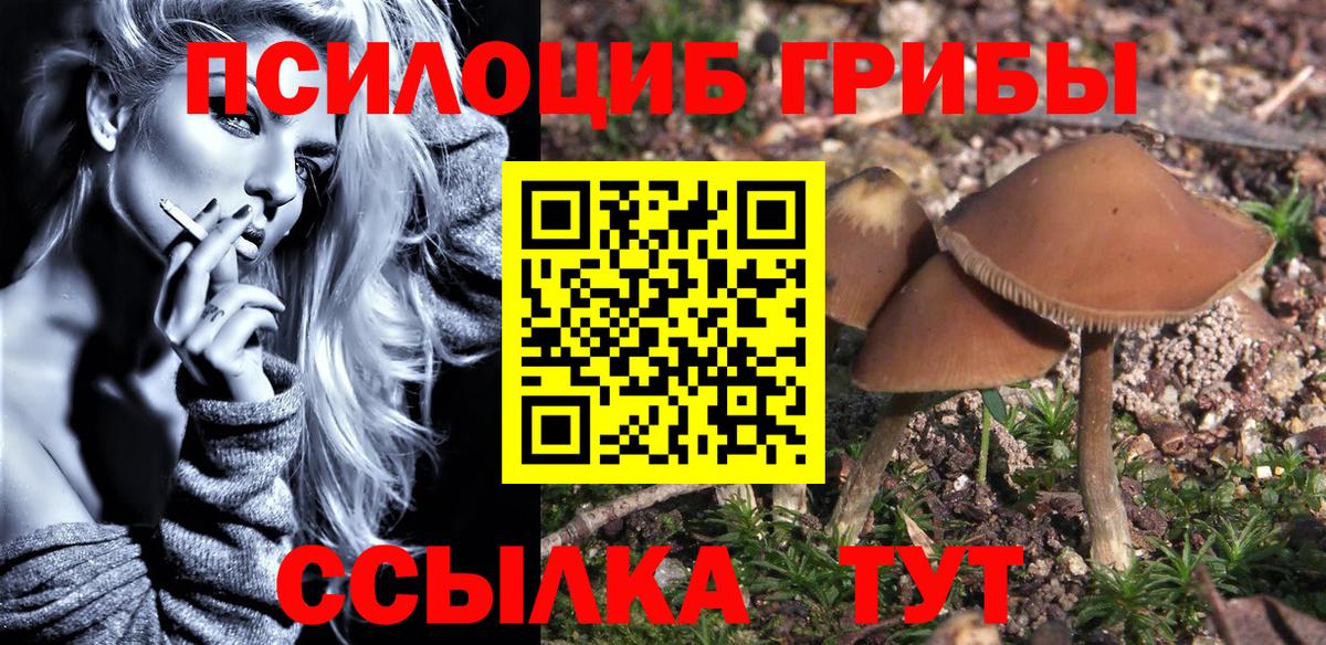 Галлюциногенные грибы Psilocybine cubensis  Вход с VPN  Апрелевка 